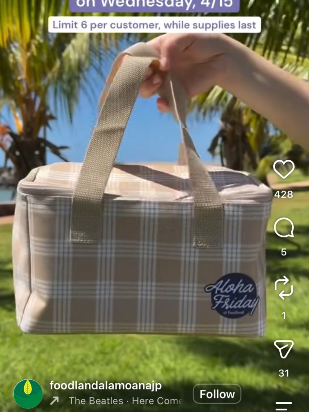 Aloha Friday Plaid Lunch cooler -Beige